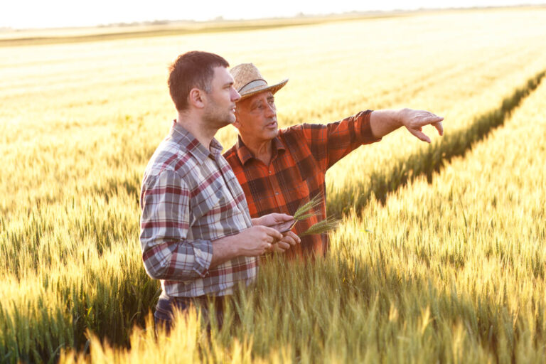 farm worker jobs in UK
