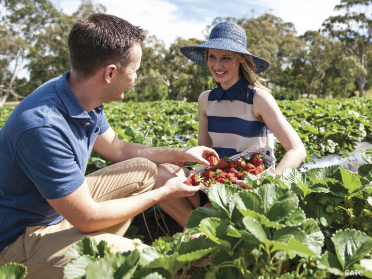 fruit farming jobs in Germany
